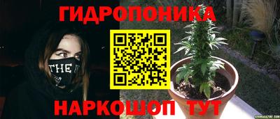 гашиш Краснознаменск