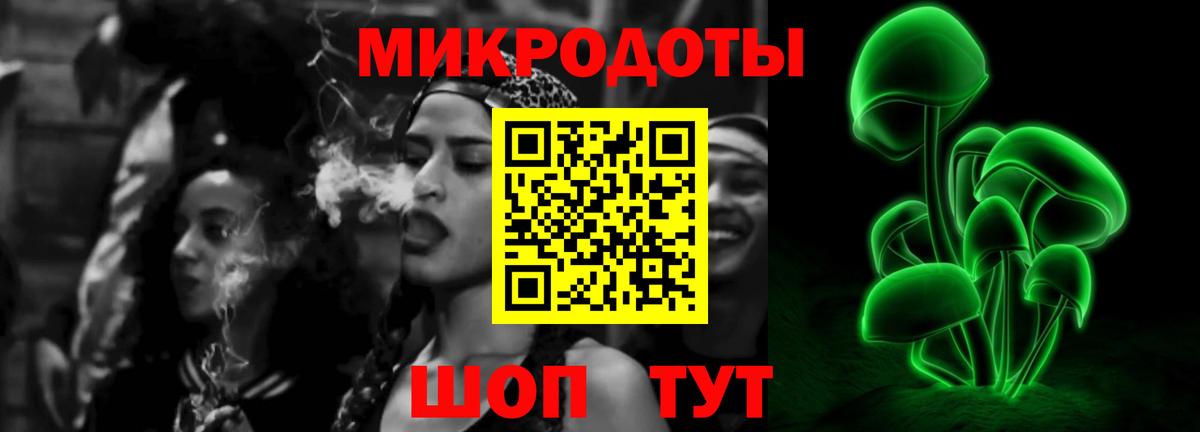 Псилоцибиновые грибы мухоморы Чехов